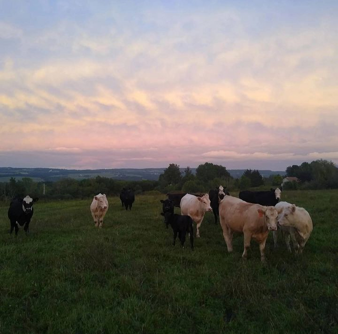 Why I stopped Farming